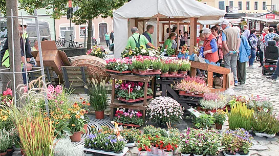 Herbstmarkt